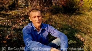 Переезд на землю 6 часть С чего начинать освоение участка