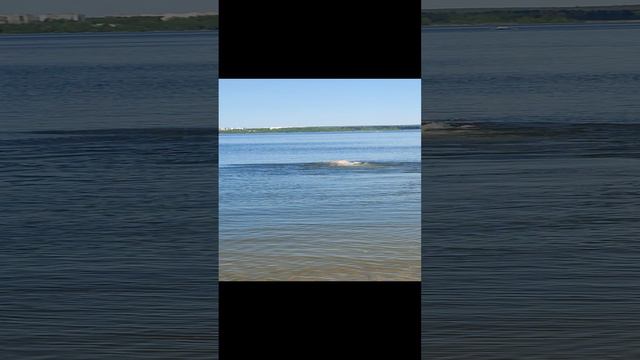 1000039913.mp4