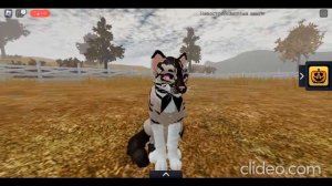 Типы игроков в WCUE Roblox