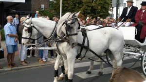 Лошади на параде!