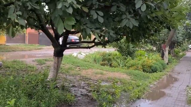 Ейск?Что натворил ураган в городе. Идем к родителям Андрея. Обзор виноградника... смотреть онлайн