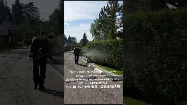Услуги обработки сада от вредителей и болезней в Москве. Заказать выезд агрономов по т. 84956695223
