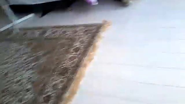 В краснодаре . ДЕЛАЮТ НОВУЮ МЕБЕЛЬ
