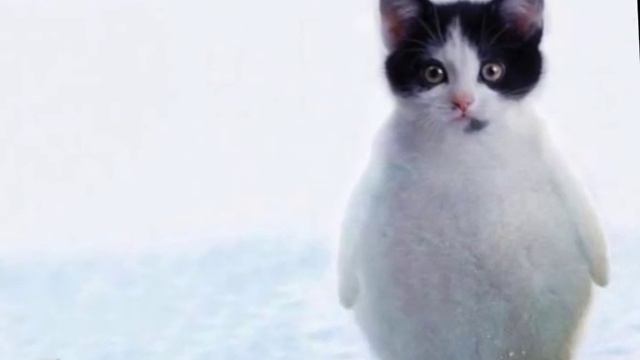 Животные после фотошопа! смотреть онлайн