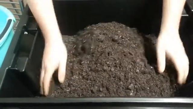 Разведение червя Дендробена. Приготовление субстрата