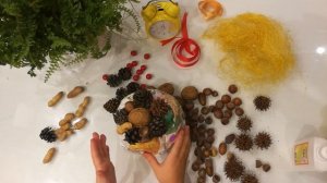 Топиарий из шишек, орехов и желудей. Осенний топиарий