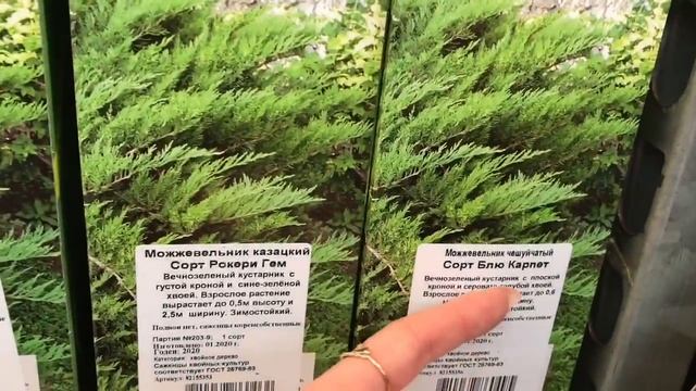 Леруа Мерлен готов к дачному сезону. Все для сада и огорода в Леруа Мерлен