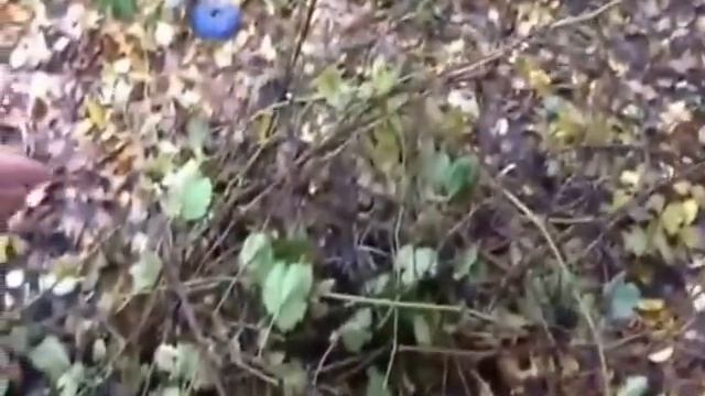 Садовый сжигатель своими руками (garden incinerator)