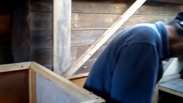 выращивание бройлеров в домашних условиях, часть 1(10дней)