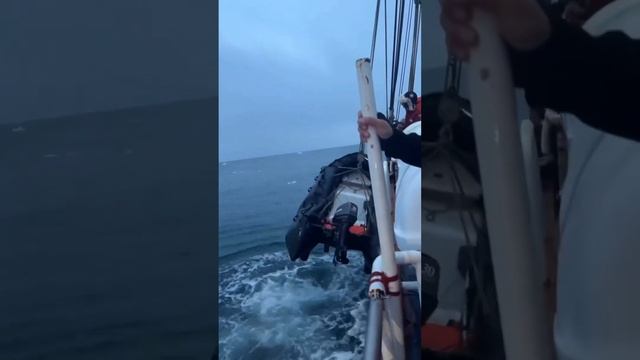 Подписывайтесь на каналставьте лайки поднимаемнастроение