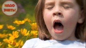 Почему люди часто чихают два раза подряд?