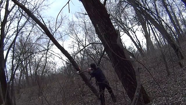 Как СКК Вместе за хворостом ходили 2 СКК Вместе смотреть онлайн