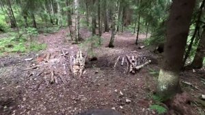 #49-1 Киссолово лесная тропинка и поселок | KTM 390 Adventure SW