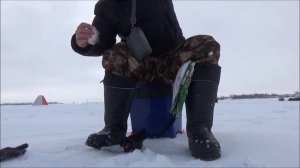 ЗИМНЯЯ РЫБАЛКА. МОСТОВОЕ, Алтайский край, Завьяловский район