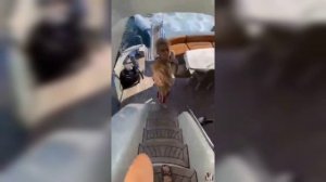 Влад А4 и ее Девушка Юля Годунова ❤️??/А4 и Юля