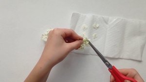 Как сушить цветы? ??где хранить сухоцветы??️