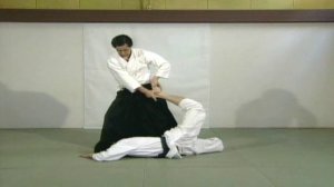 Дайто рю айкидзюцу. Уровень айкидзюдзюцу