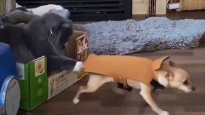 Ты меня не держи