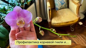 внезапная ПЕРЕСАДКА из закрытой системы в открытую!