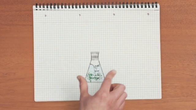 Защита ячменя с протравителем Систива® на основе XEMIUM® смотреть онлайн