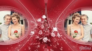 Алая роза!Sevenrose!!