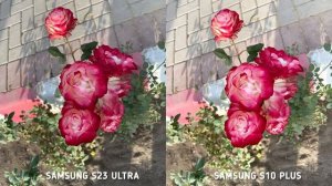 Samsung Galaxy S23 Ultra VS Samsung Galaxy S10 Plus Camera Comparison