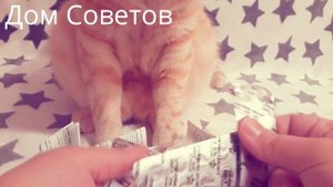 Как избавиться от Похмелья и избежать Алкогольного отравления?Поможет копеечная Янтарная Кислота!