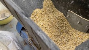 Как измельчить корм для перепелят//Способ для измельчения корма для суточных перепелов