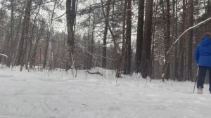 Скандинавская ходьба и силовые по возможности . Тренировки зимой