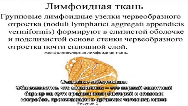 Носоглоточная миндалина
