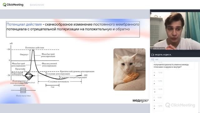 Физиология возбудимых тканей | Нормальная физиология