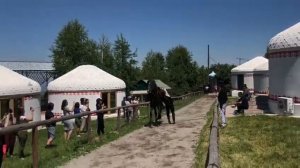 Трюк Оборотник (Джигитовка)  #лошадь #конь #трюк #оборотник #каскадёр #stunt #horse #казах #конкур