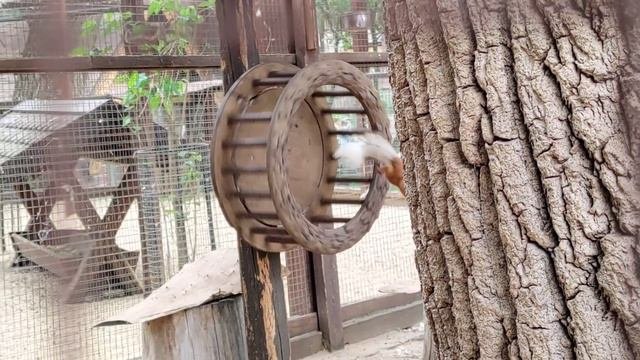 Лого парк | плохой блогер | очень плохой монтаж | Самый кайфовый отпуск