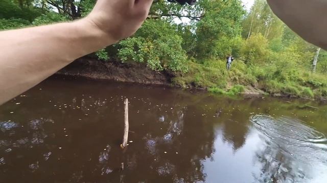 Рыбалка в Мещерском заповеднике. Спиннинг. 3 щуки и 1 окунь. смотреть онлайн