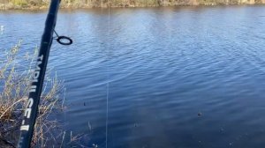 Весення ловля карася на фидер в Самарской области