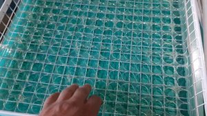 Инкубаторы Владимира Коробкова. Про ячейки.