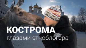 Кострома: МНОГО сыра, Поцелуй с лосём, Дом БОГАТОГО костромича