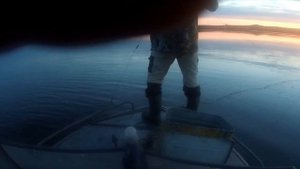 В тундру за ягодой морошкой и на рыбалку!