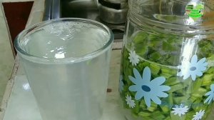 Ocho beneficios del agua de nopal para la salud impresionantes 2020