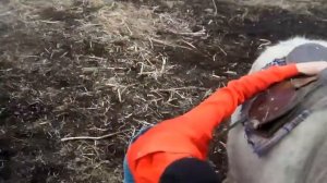 Как одеть седло на лошадь?