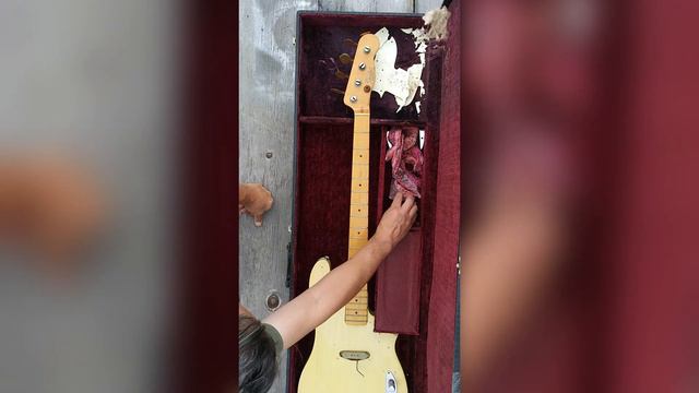 1968 Fender Telecaster Bass смотреть онлайн