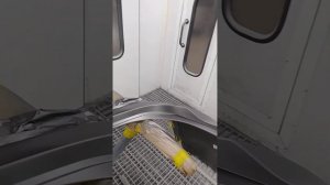 Весь процесс покраски базой#автопокраска#автомаляр#покраска#маляр#автомаляр#покраскаавто#база#краск