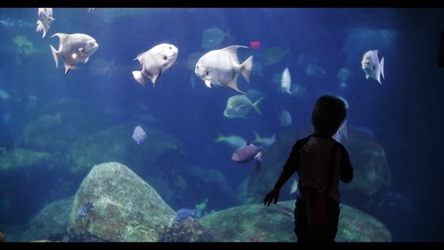 КАК ПЕРЕСТАТЬ ЗАПРЕЩАТЬ СЕБЕ УДОВОЛЬСТВИЕ. 7 ШАГОВ К ОСВОБОЖДЕНИЮ смотреть онлайн