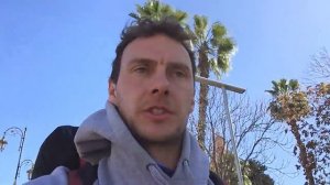 Марокканские мандарины. Как они попадают в Россию. Чем обрабатывают? Сколько едут?