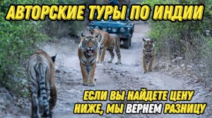 Бюджетные авторские туры в Индию  Если вы найдете цену ниже, мы вернем разницу#2024 #travel