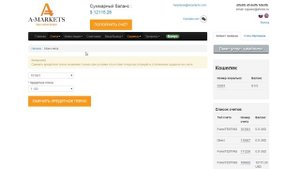 Как изменить размер кредитного плеча при торговле на рынке Форекс - AMarkets