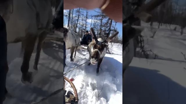 Путешествие в Бомнак, Амурская область