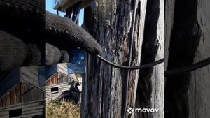 Рабочие моменты.Вмешательство в прибор учета типа "Меркурий 238"