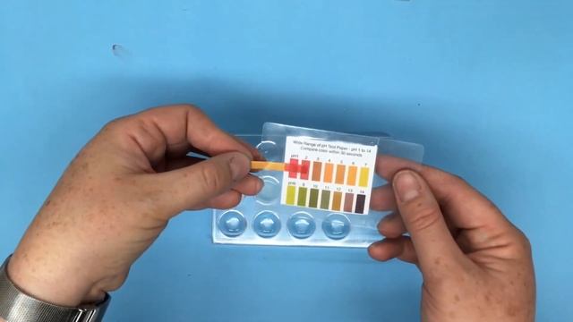 Cochineal Insect Chemistry