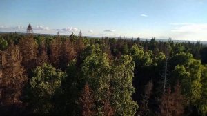 Валдайская возвышенность 360 градусов